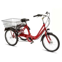 Bici elettrica LIBERTY